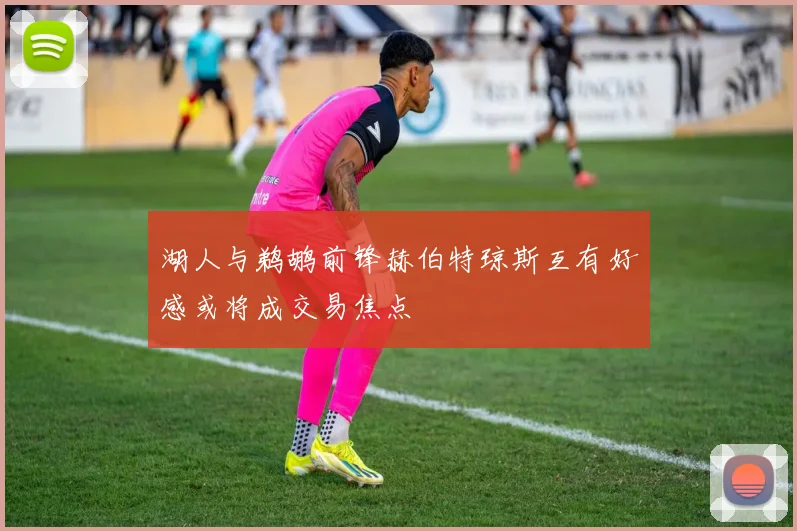 湖人与鹈鹕前锋赫伯特琼斯互有好感或将成交易焦点