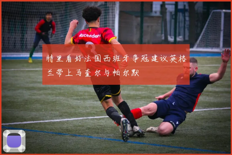 特里看好法国西班牙争冠建议英格兰带上马奎尔与帕尔默